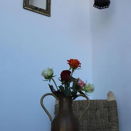 Dar Habache Apartment Marrakesh Exterior photo